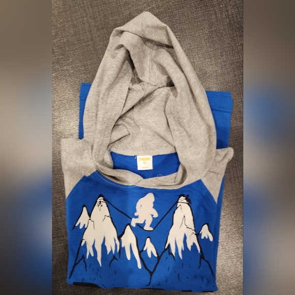 Gymboree Boys Light weight Hoodie Size XL (14) - Picture 4 of 5
